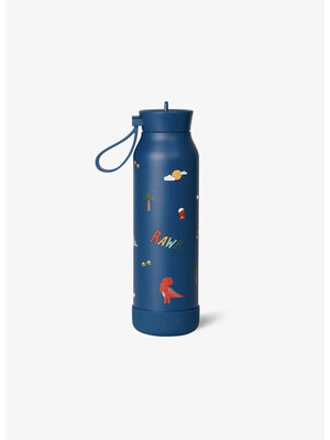 Citron Water Bottle 500ml - Dino