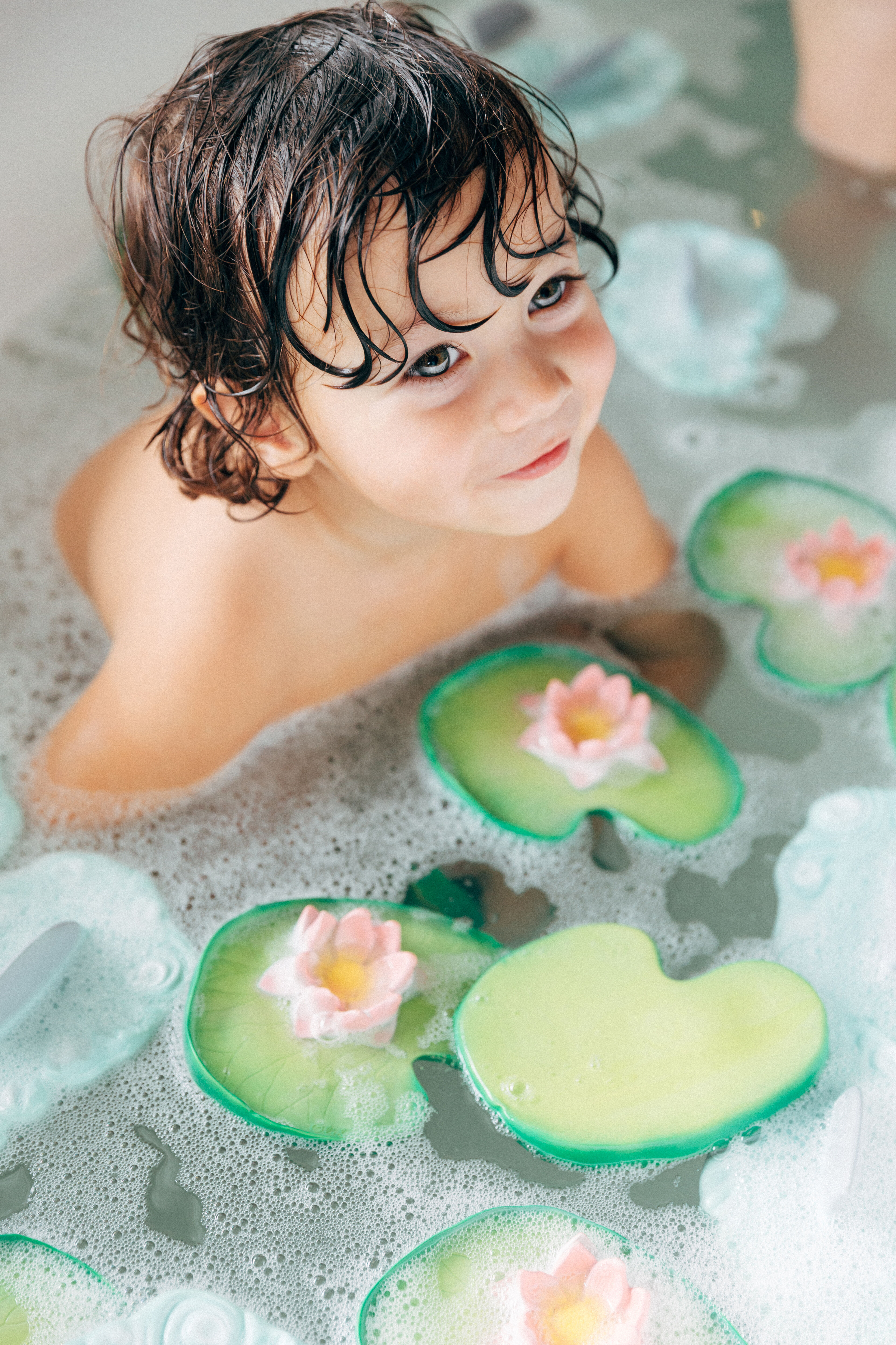 Oli & Carol Water Lily image number 6