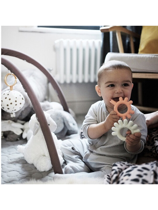 BORRN Silicone BPA Free, Non Toxic Teether - Crab image number 2