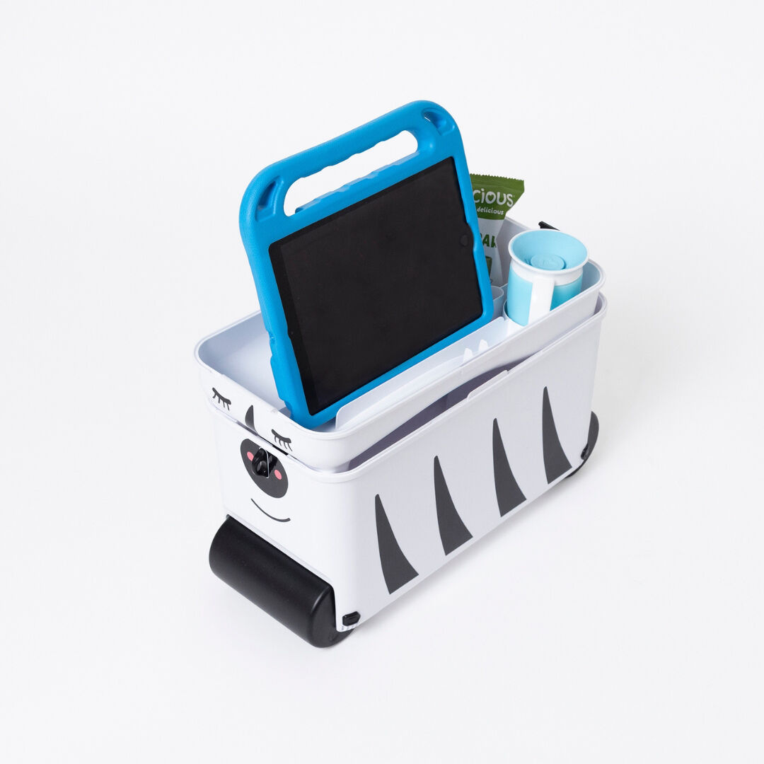 Little Rolla Zebra image number 7