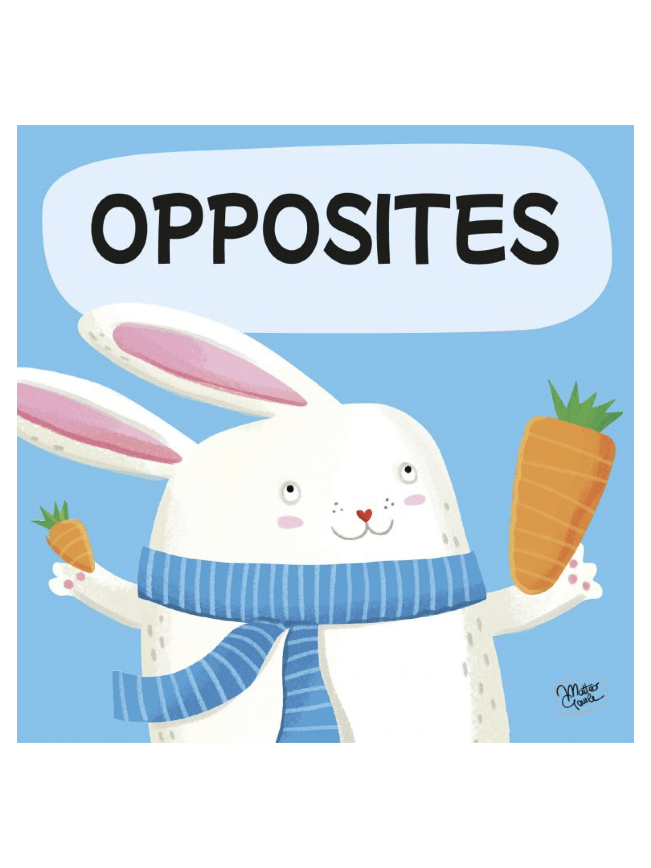 Sassi Book and Puzzles - Opposites image number 2