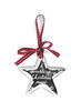 Hanging Christmas Silver Star image number 1