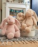 Tan Bunny Soft Toy image number 3