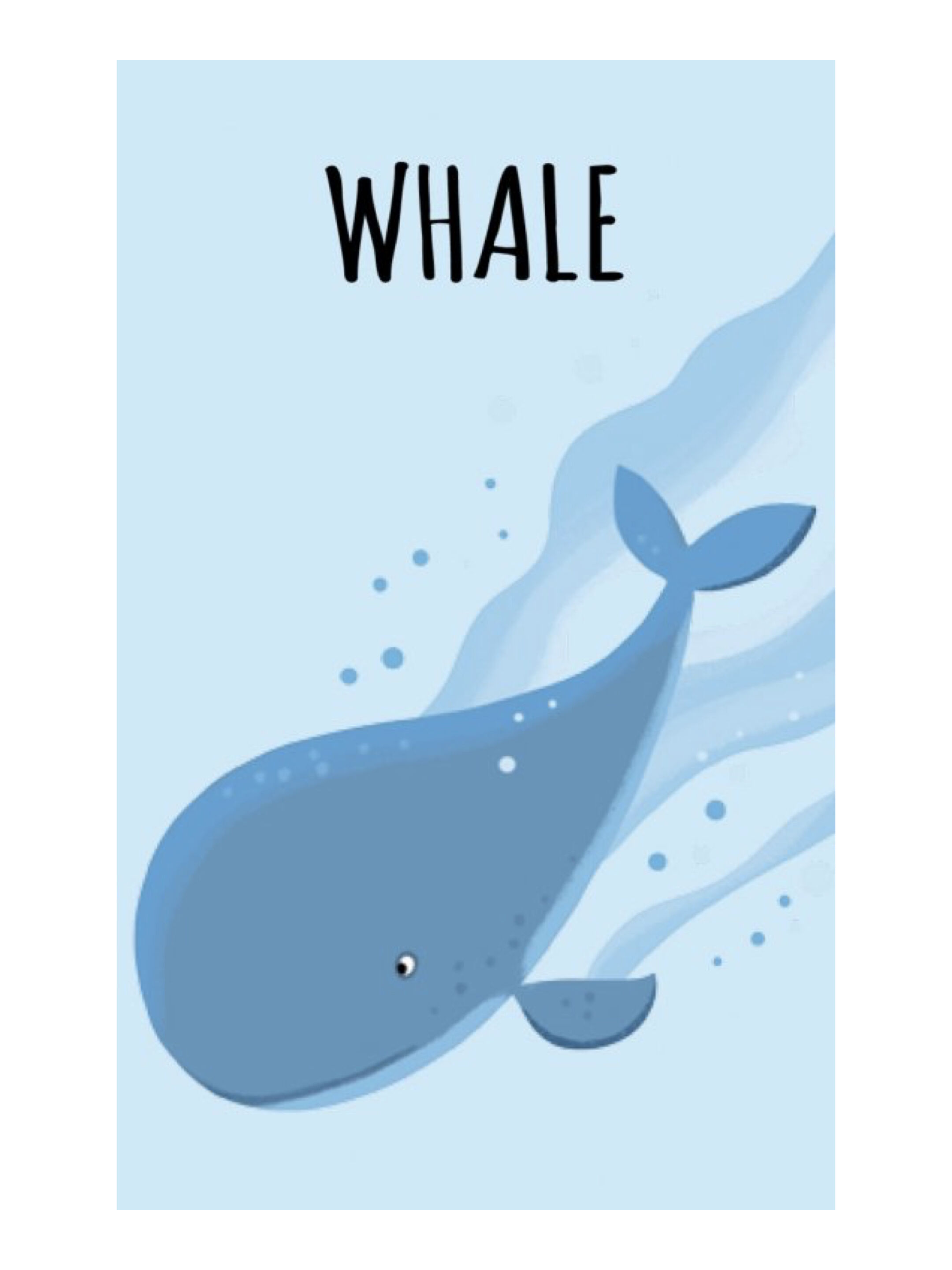 Sassi My First Library - The Sea image number 4