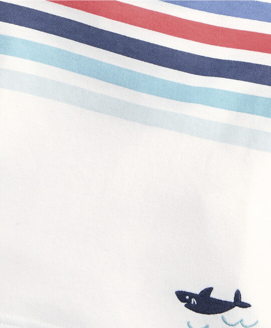 Multicoloured Stripe T-Shirt image number 3