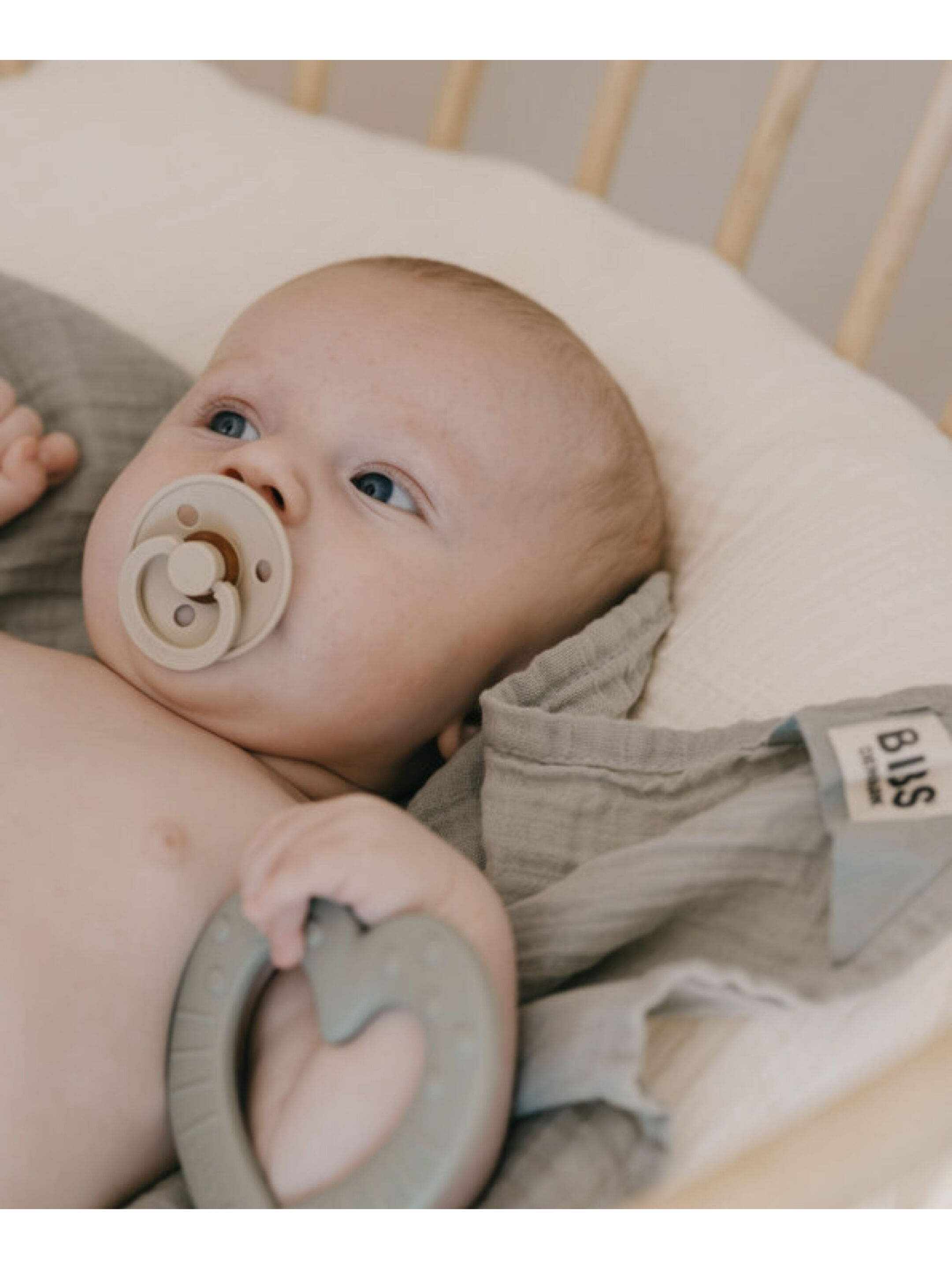 Bibs Colour 2 Pack S1 - Vanilla/Blush (0+ months) image number 4