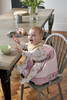 Baby Bug Blossom with Miami Beach Highchair image number 24