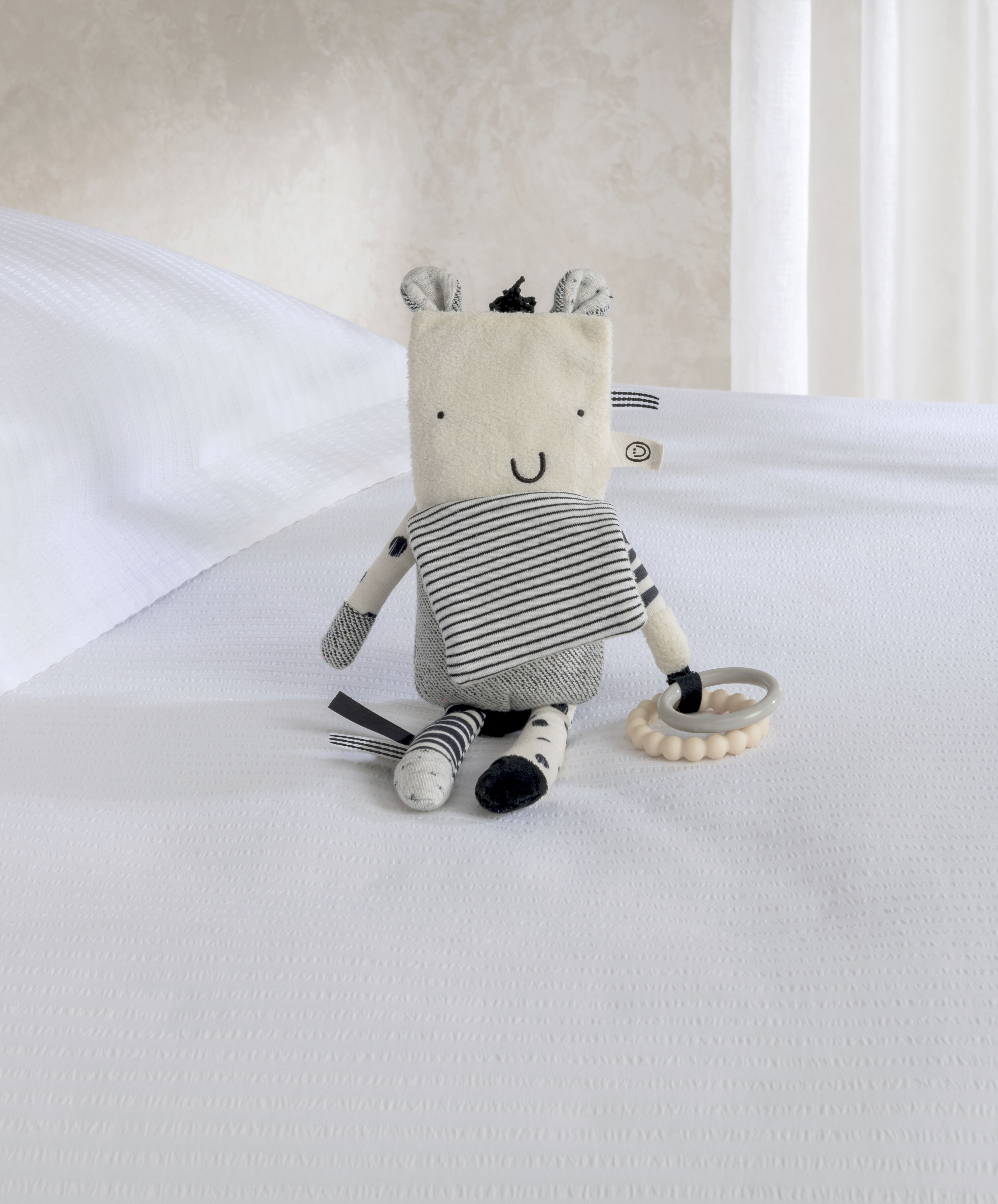 Another Fox - Activity Zebra image number 3