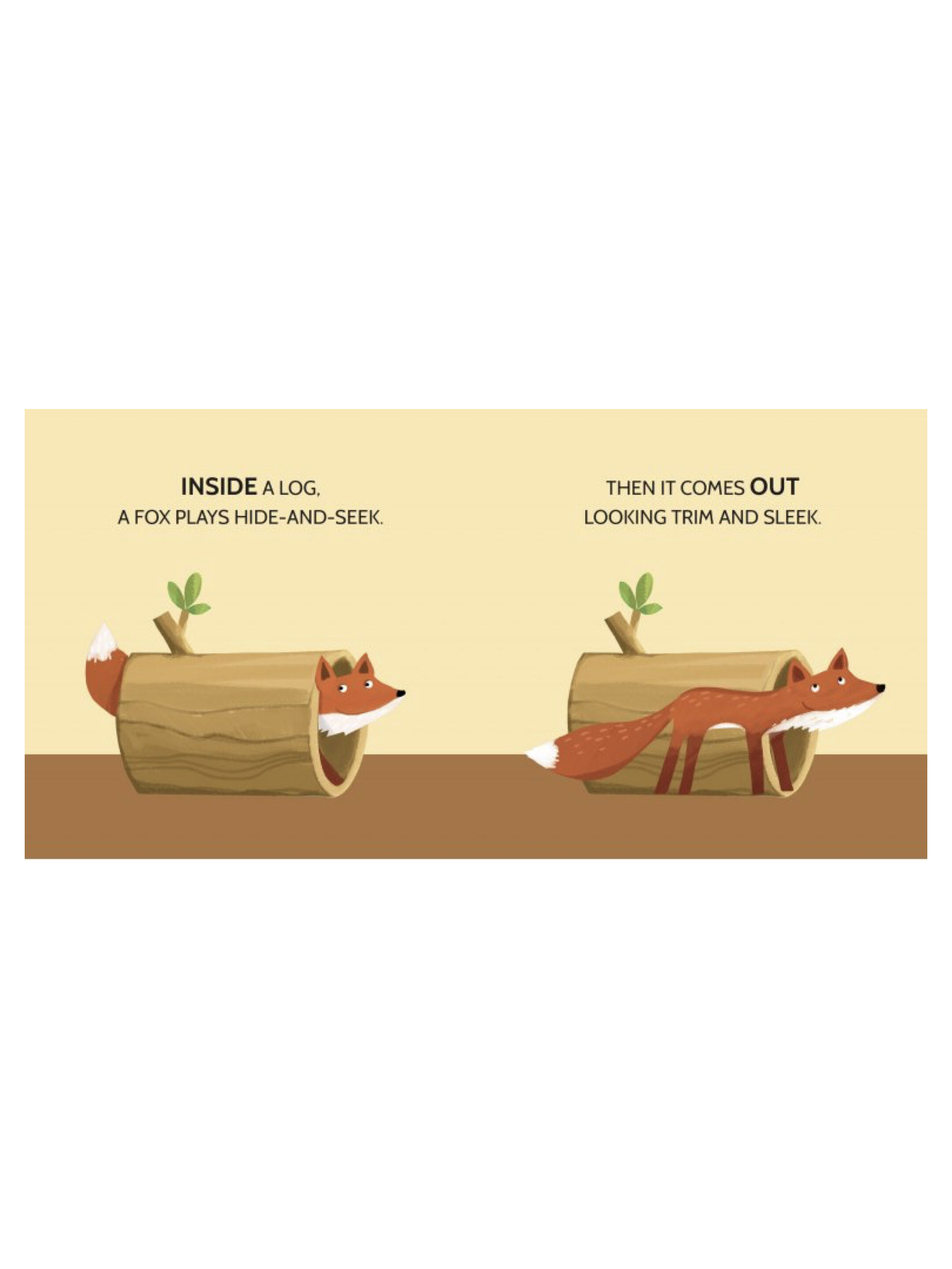 Sassi Book and Puzzles - Opposites image number 6