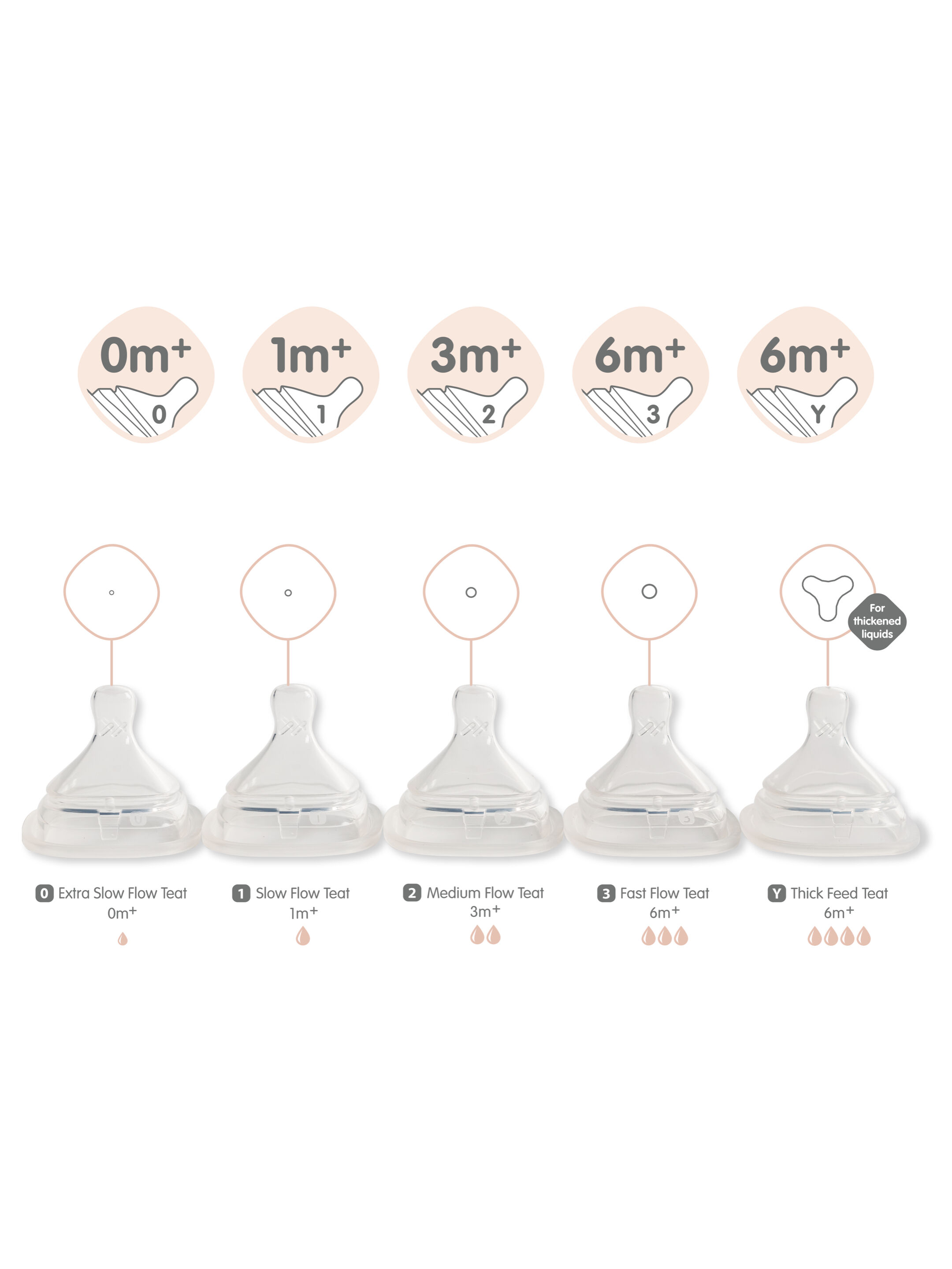 Hegen Teat Medium Flow (2-pack) - 3 to 6 months image number 3