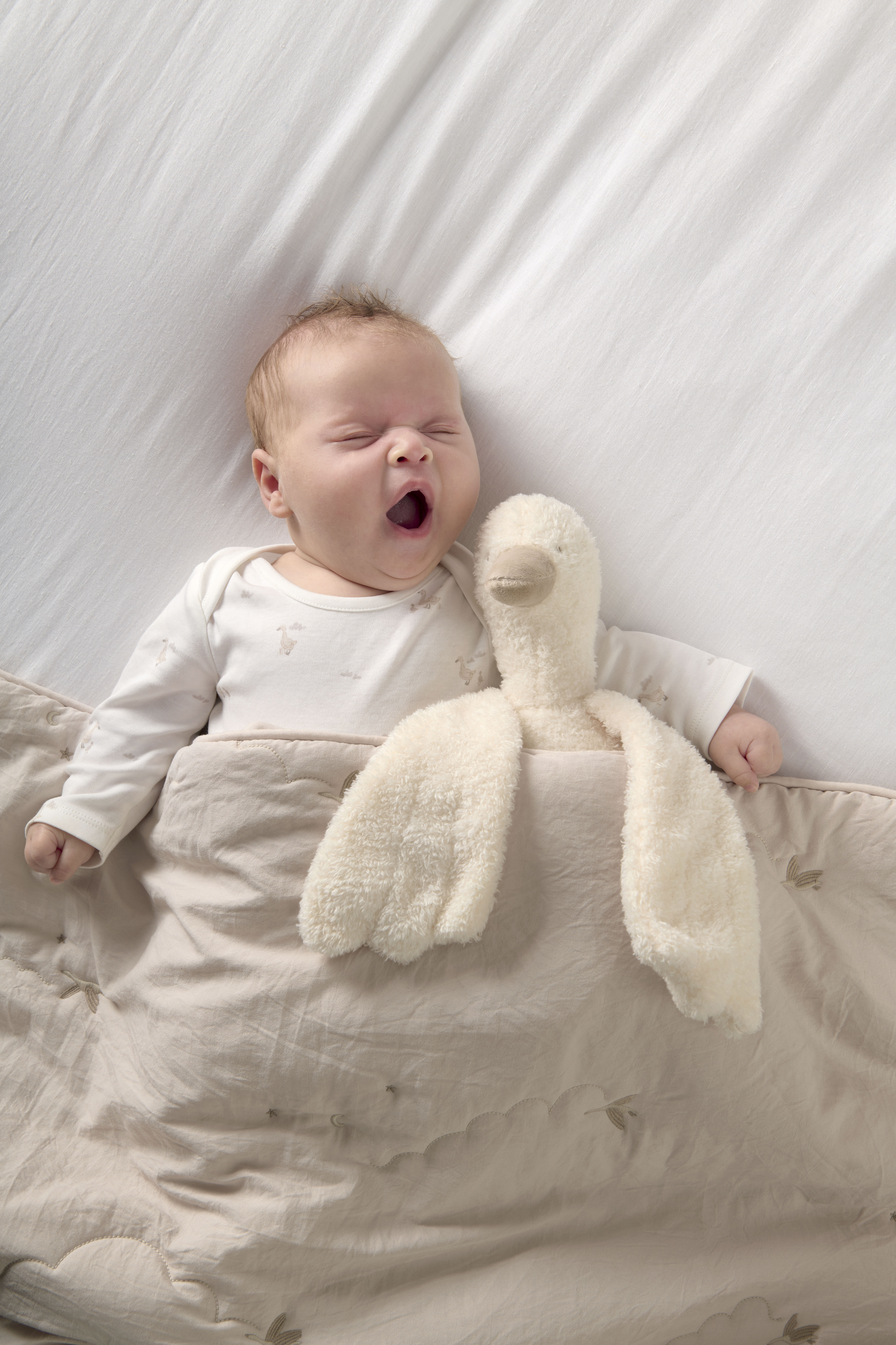 Beanie Soft Toy - Welcome To The World Duckling image number 2