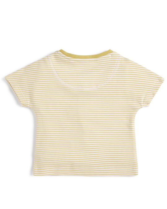 Striped Short Sleeve T-Shirt image number 2