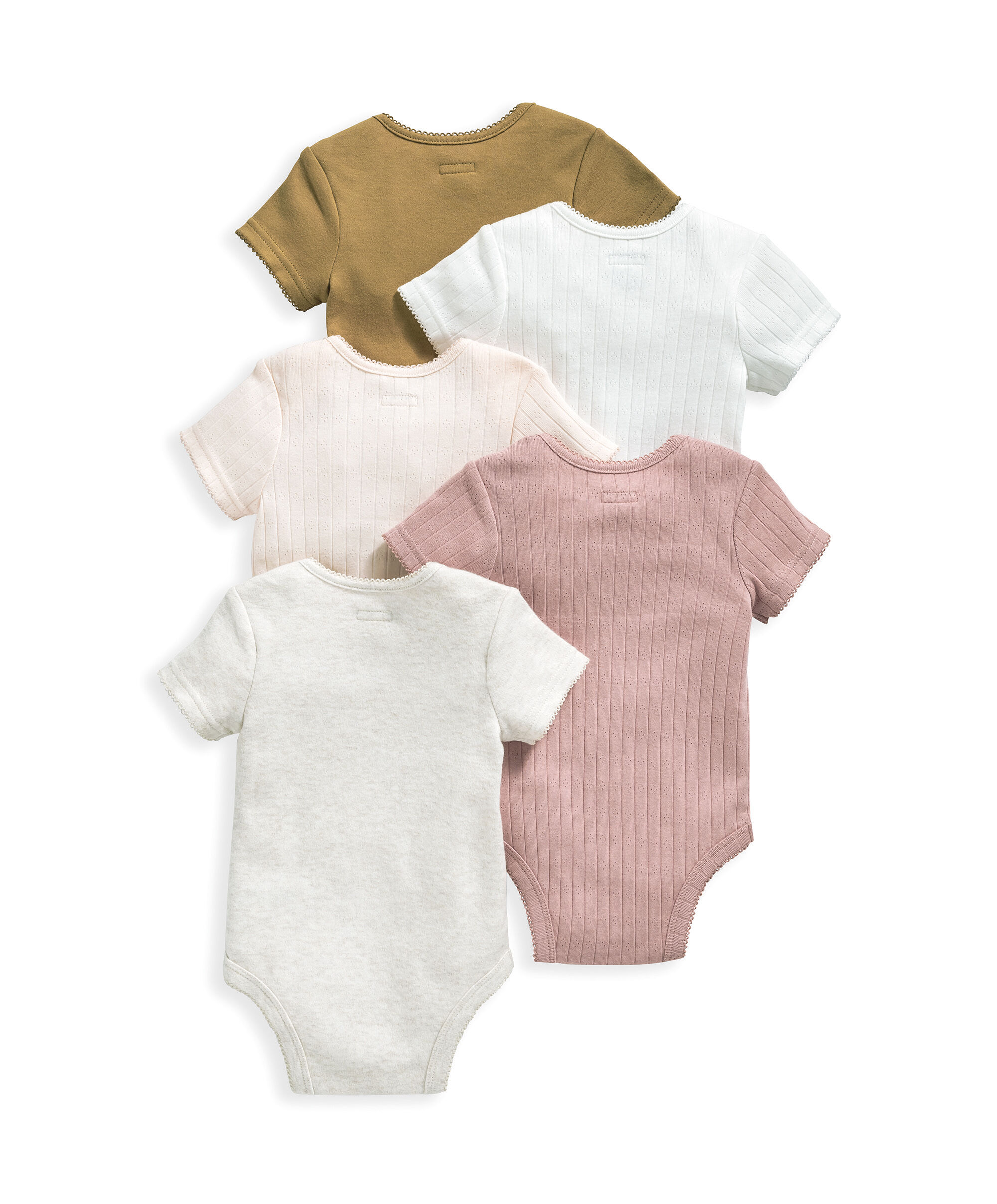 5 Pack Pointelle Short Sleeve Rib Bodysuit image number 3