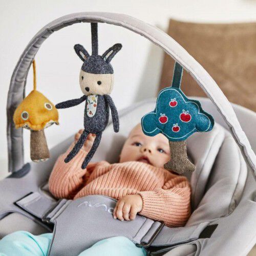 nuna leaf toy