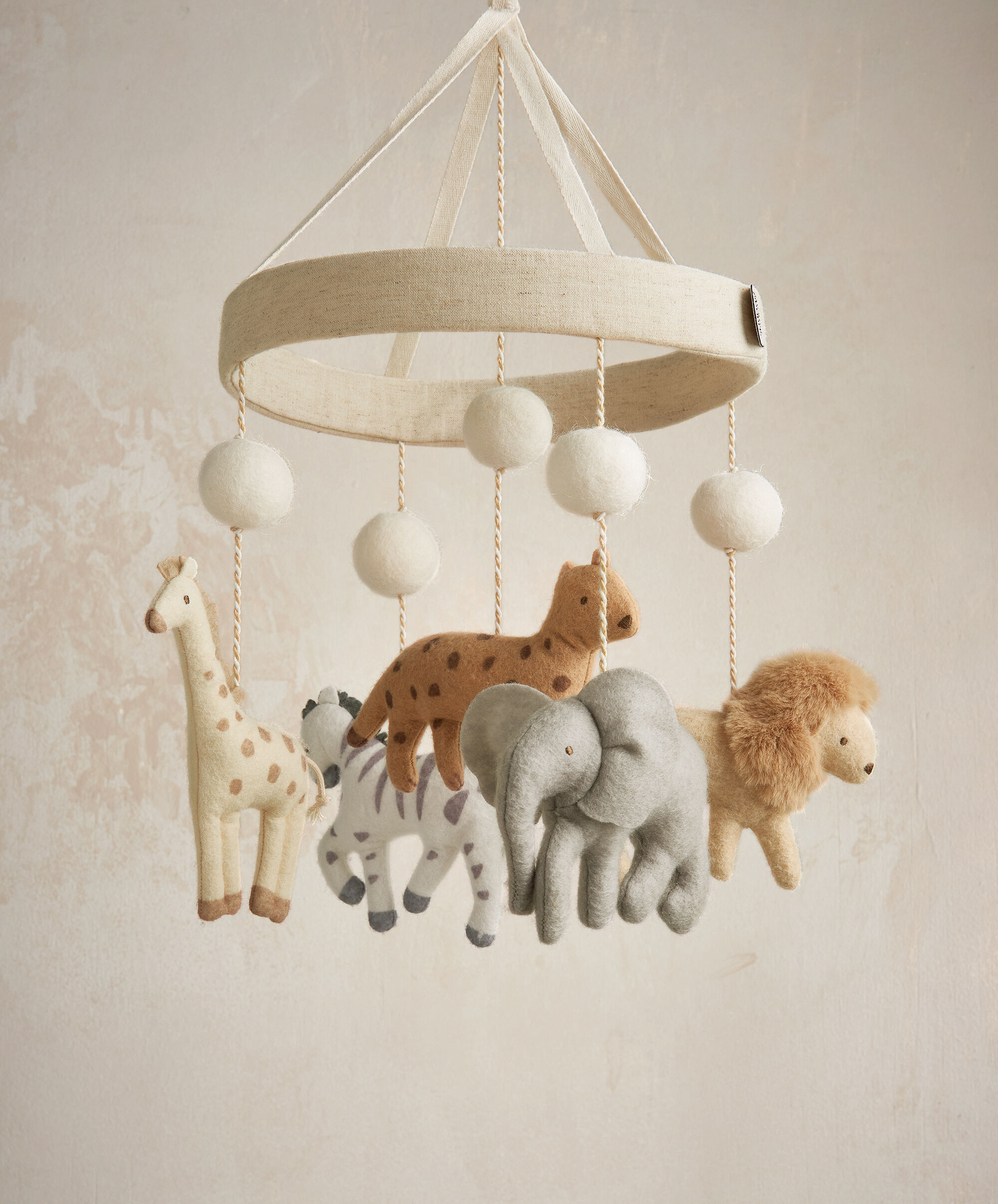 Cot Mobile - Born To Be Wild image number 1