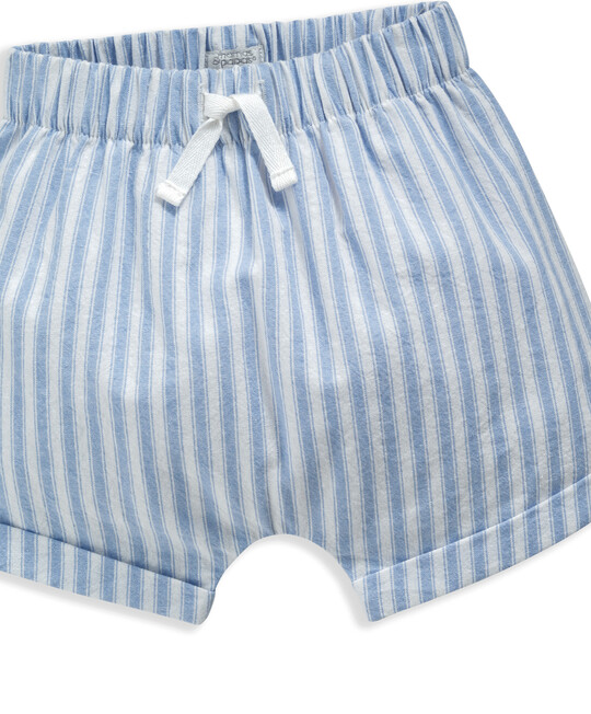 Woven Textured Stripe Short image number 3