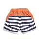 Striped Board Shorts image number 2