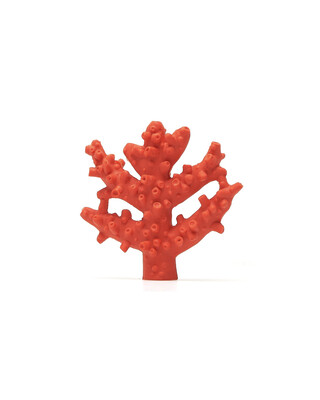 Coral Teether by Lanco