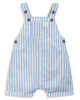 Textured Striped Dungaree image number 1