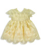 Organza Floral Lace Dress image number 1