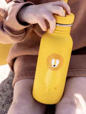 Trixie Stainless Steel Water Bottle - 500ml - Mr. Lion