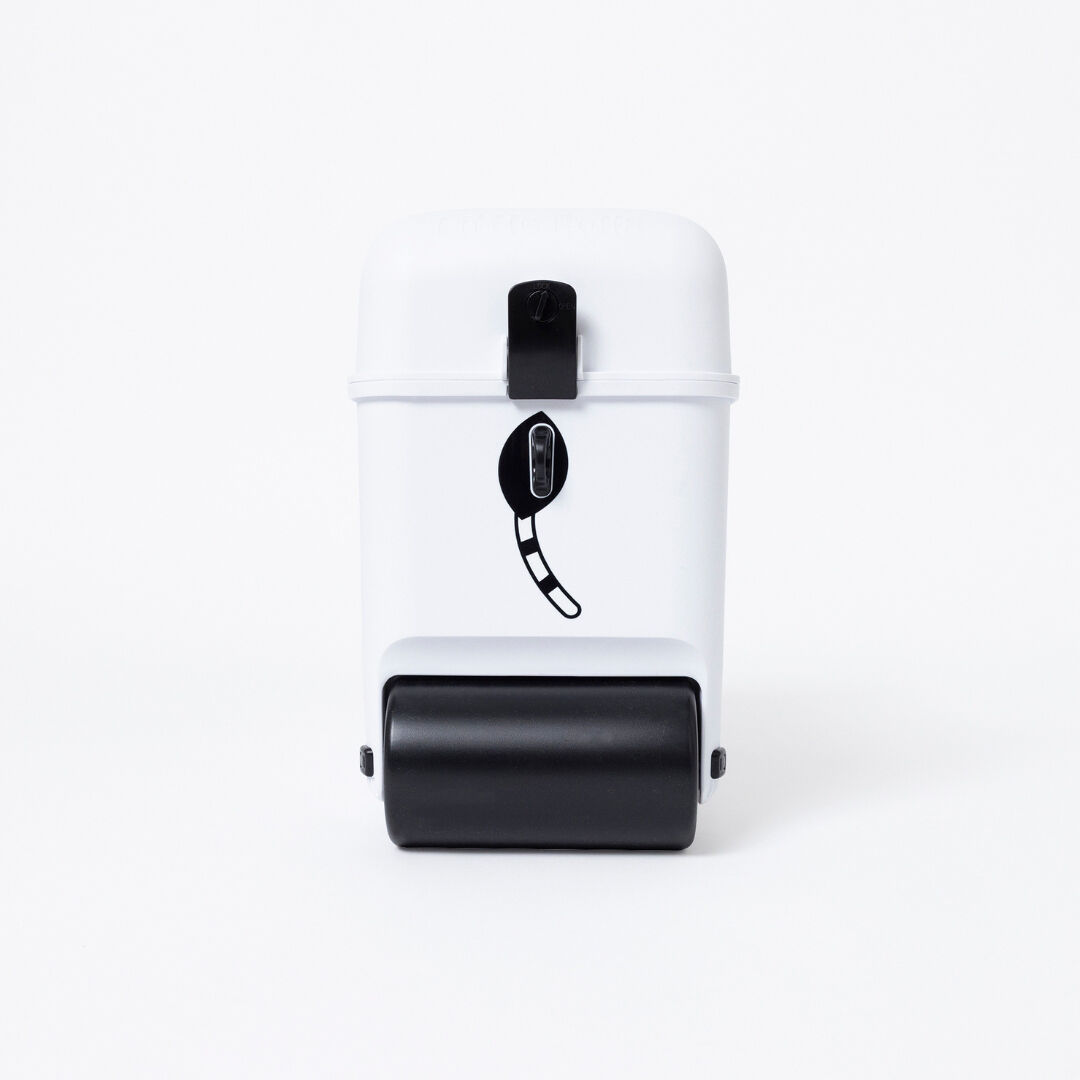 Little Rolla Zebra image number 5