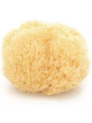 Babu Natural Honeycomb Bath Sponge - Large No.14