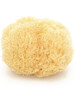 Babu Natural Honeycomb Bath Sponge - Large No.14 image number 1
