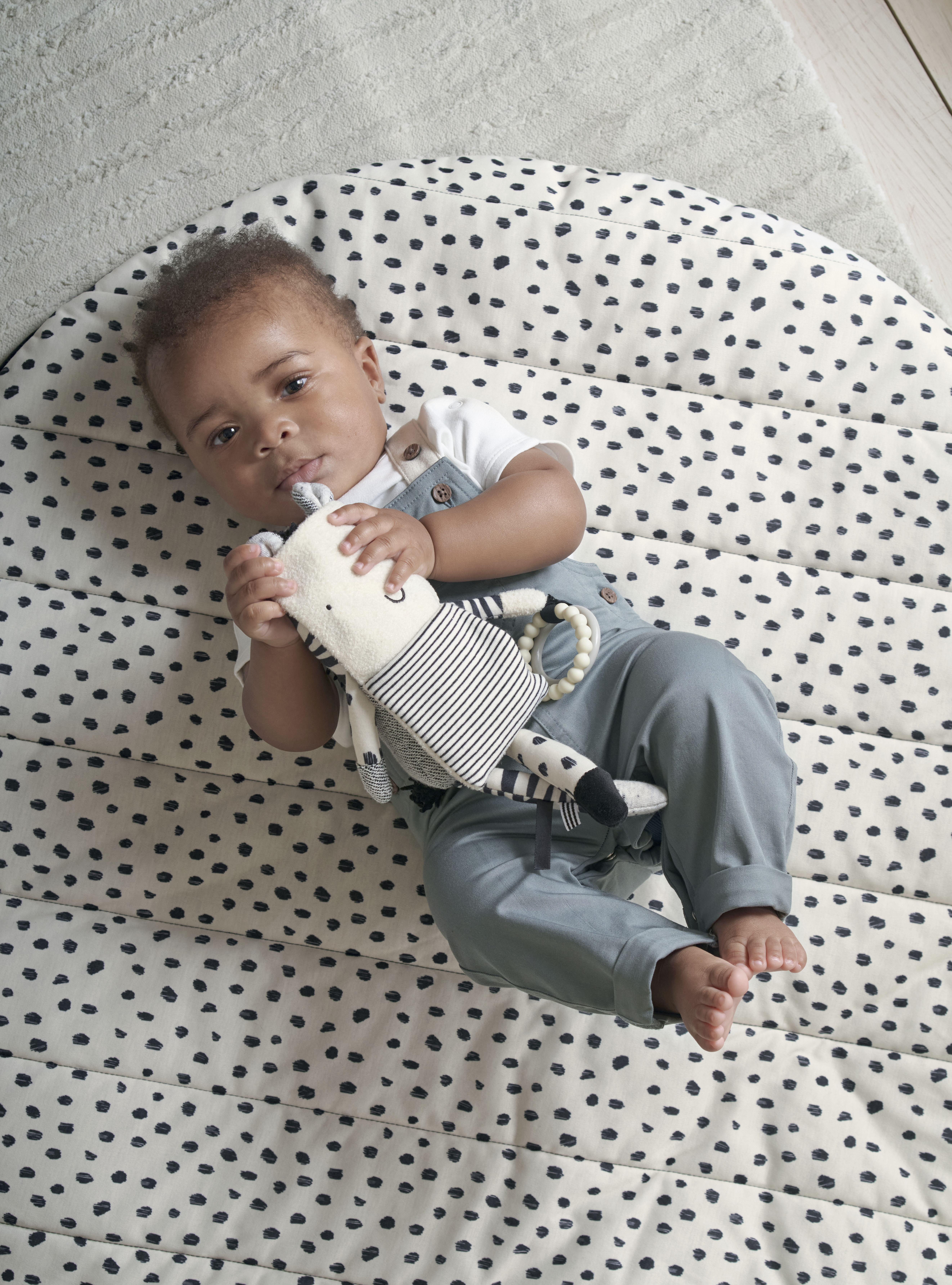 Another Fox - Activity Zebra image number 1