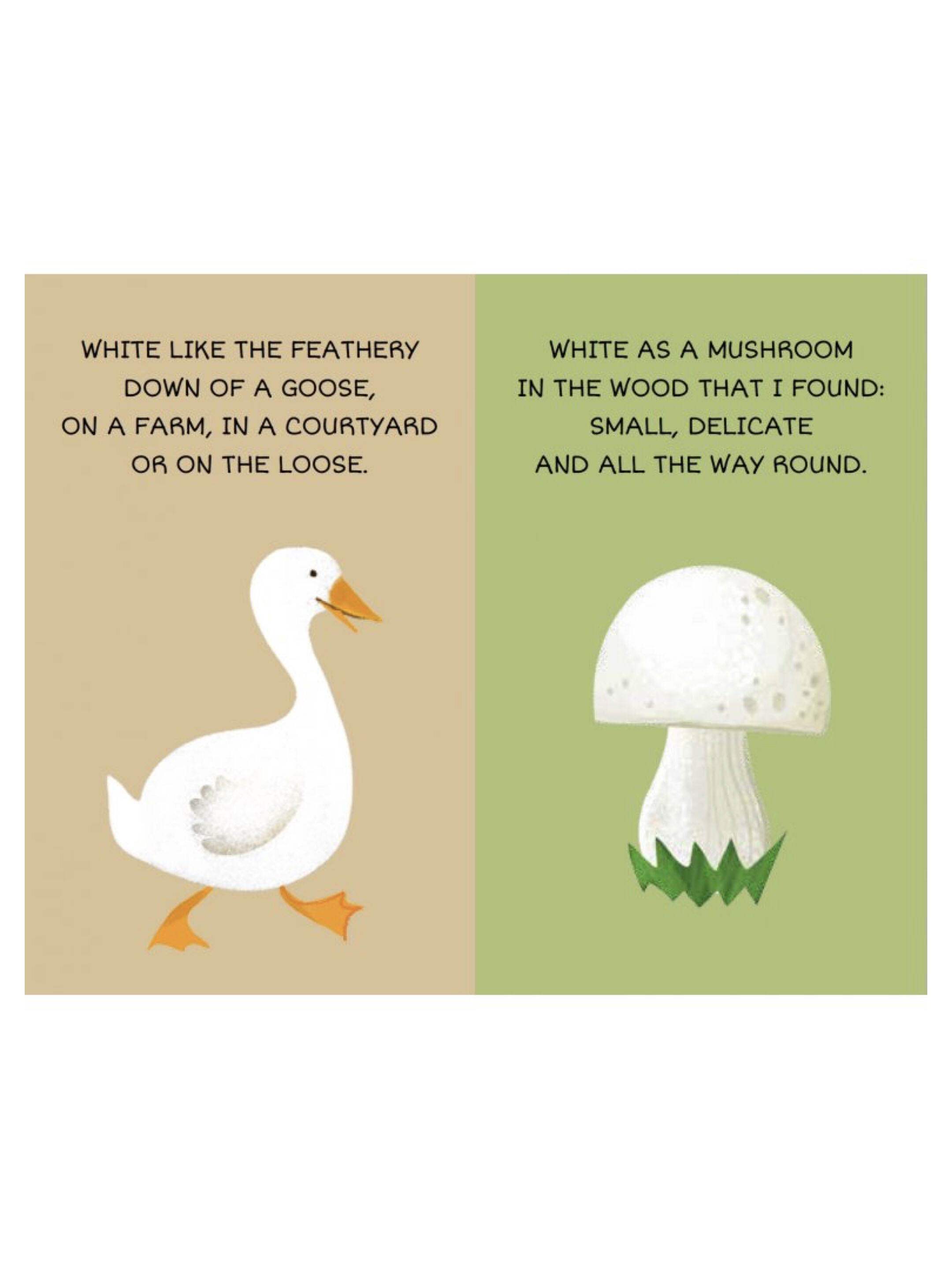 Sassi My First Library - Colours image number 5