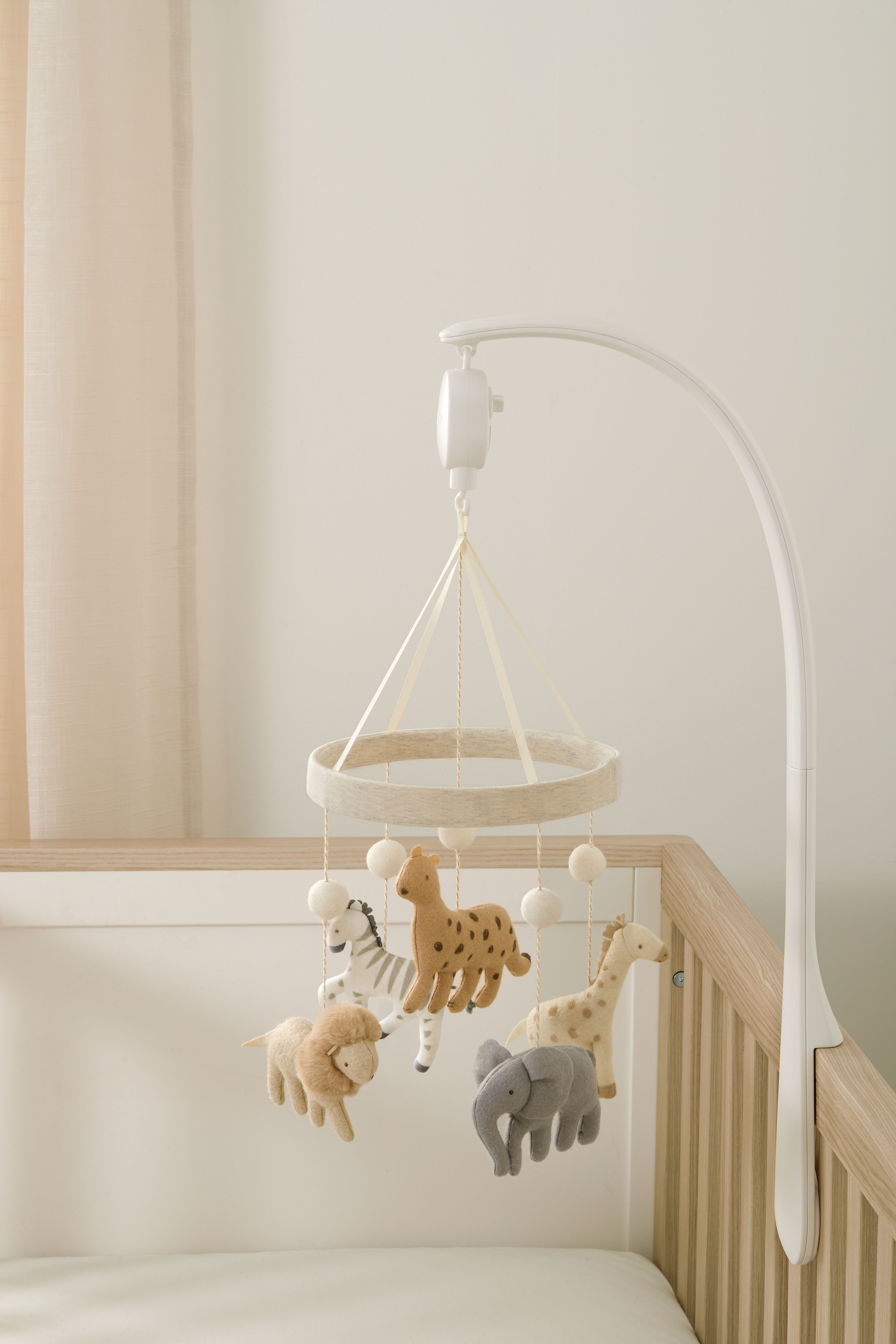 Cot Mobile - Born To Be Wild image number 3