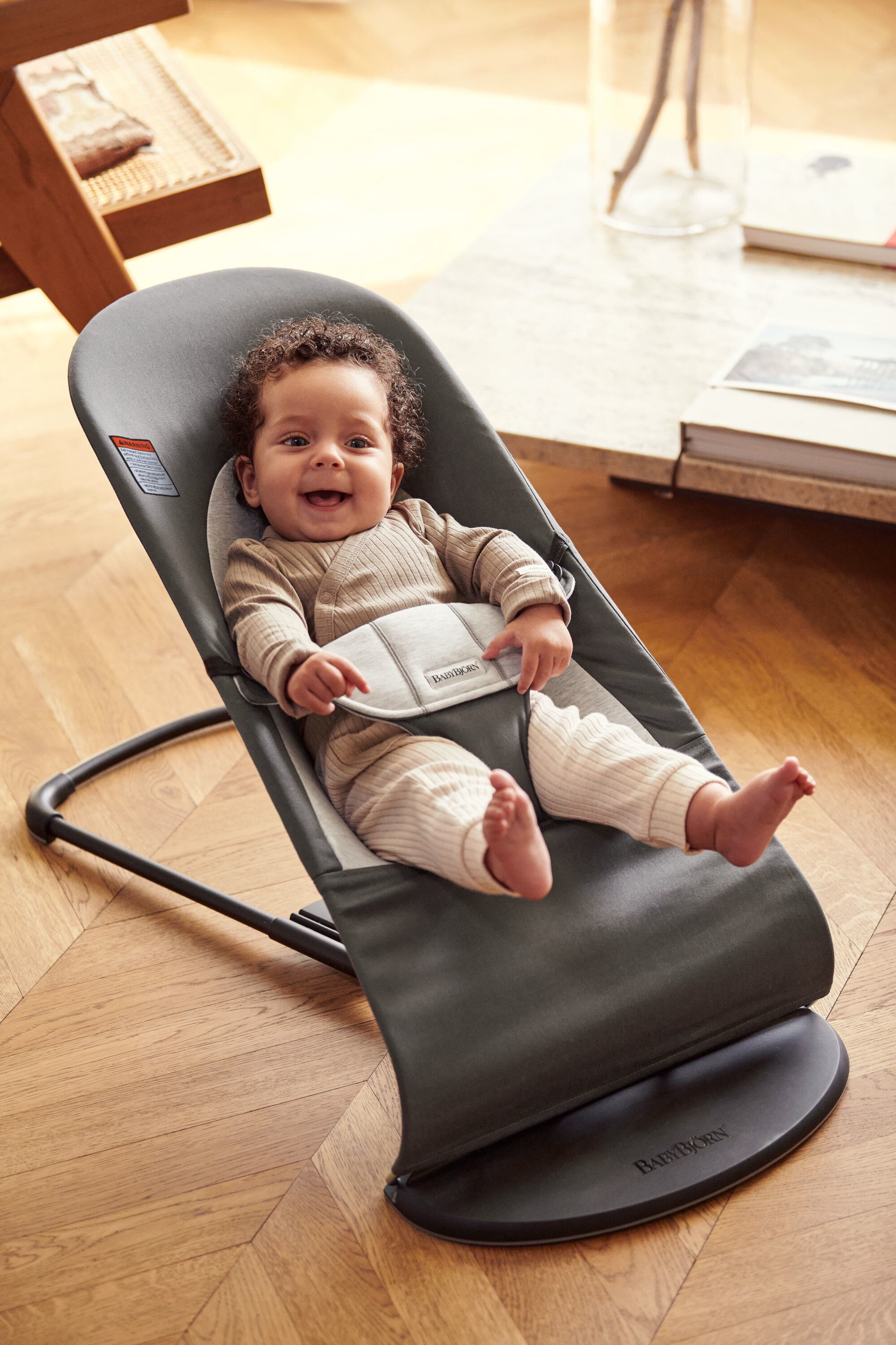 Babybjorn Bouncer Balance Soft - Dark Grey image number 2
