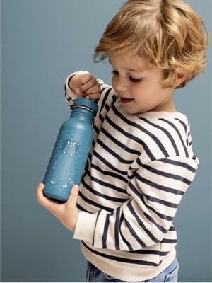 Trixie Stainless Steel Water Bottle - 500ml - Mr. Triceratops
