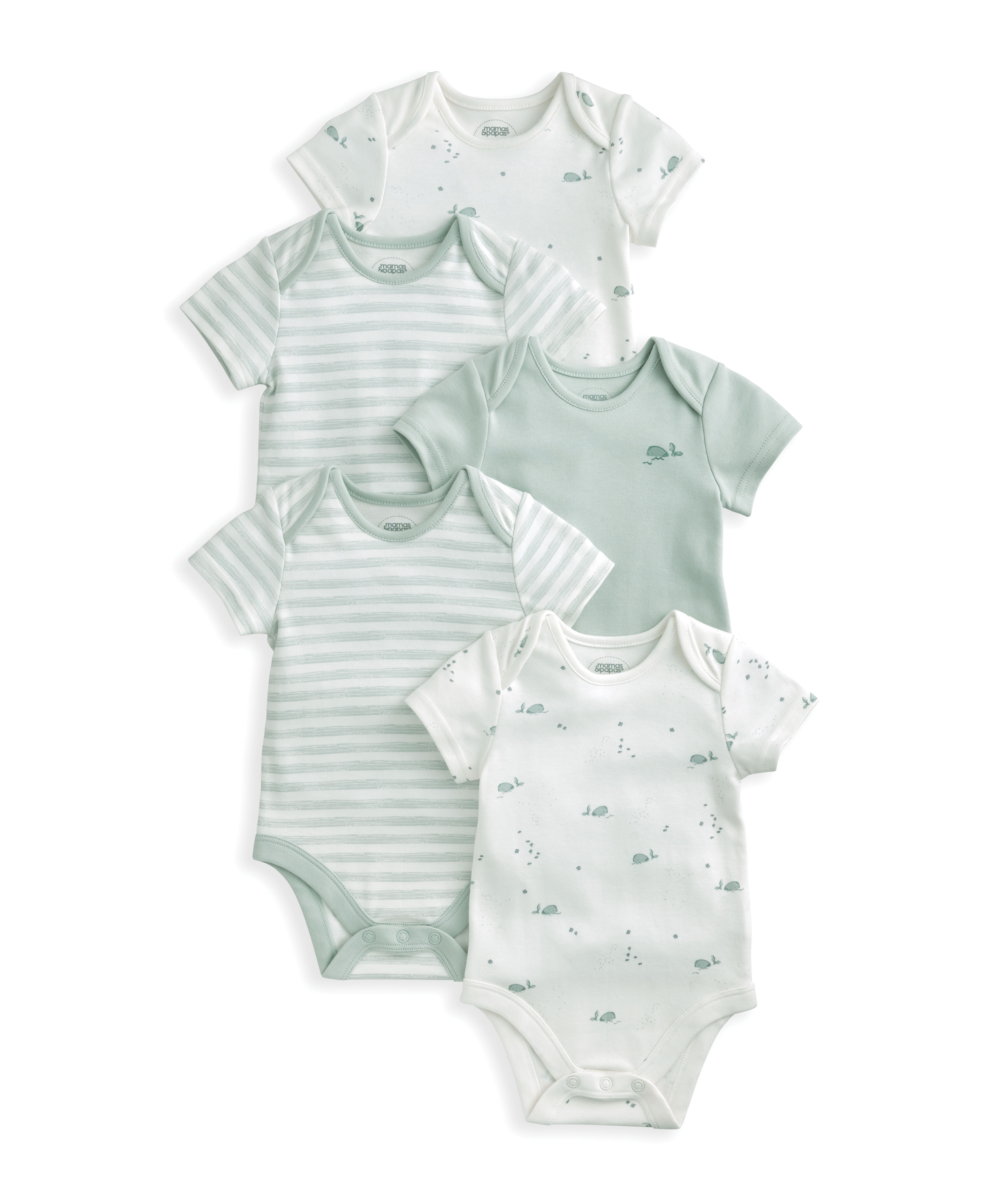 5 Pack Whale Short Sleeve Bodysuits image number 2