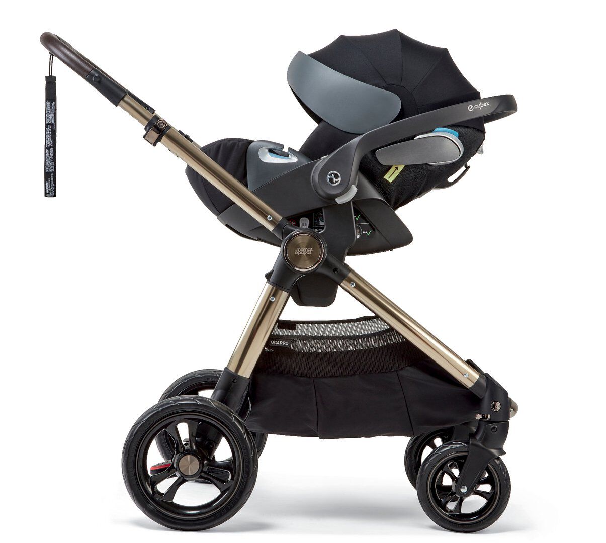 OCARRO - TREASURED (AT) image number 5